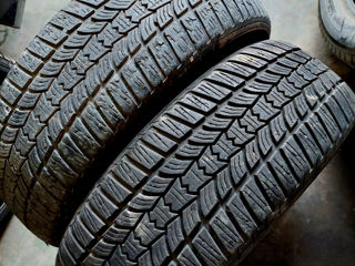 205/60 R16 Sava ( 2 buc.cu 250 lei )