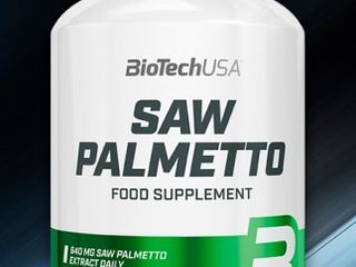 Saw Palmetto