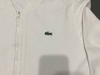 Vand zip lacoste