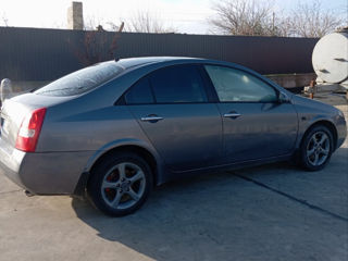 Nissan Primera foto 2