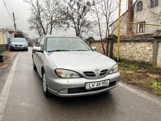 Nissan Primera foto 3