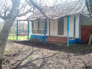 Продается старинный дом (сарай, погреб, колодец, участок 20 соток) в Единецком районе. foto 3
