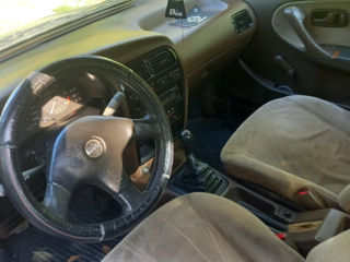 Nissan Primera foto 8