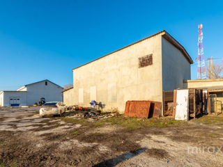 Se vinde spațiu comercial în s. Cobușca Veche, Anenii Noi, Moldova foto 6