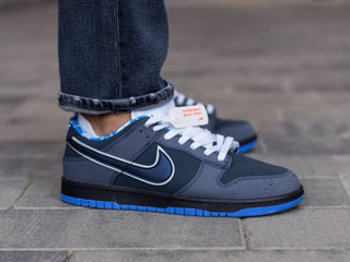 Nike SB Dunk Blue Lobster foto 4