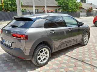 Citroen C4 Cactus foto 6