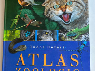 Atlas zoologic