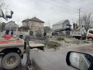 Chirie Autoturn ! Taierea copacilor in toata Moldova ! foto 15