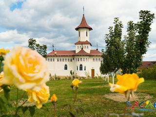 Excursie la Bacau+Slanic Moldova+Salina Targu Ocna(shopping optional) -1200 lei фото 7