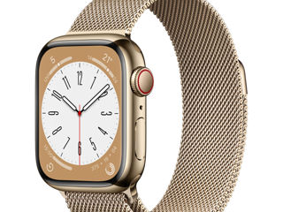 Cumpar Apple Watch Series 8 & 9 Stainless Steel!