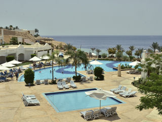 Sharm el sheikh super pret zbor pe 30.08 hotel ''Continental plaza beach & aqua park resort 4* ''! foto 20