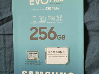 Samsung EVO Plus 256 GB foto 1