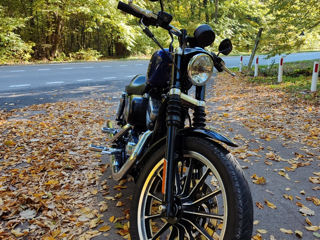 Harley - Davidson Sporster 883