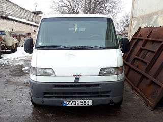 Fiat Ducato foto 1