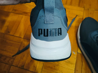 Puma Gray - 43 foto 5