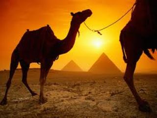 To Egypt ! Египет из Одессы на Пасхальные Праздники!   по лучшей цене! foto 5