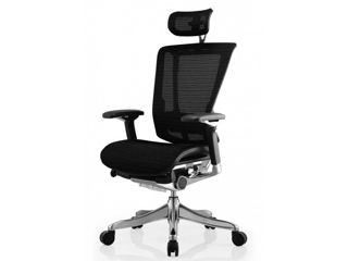 Scaune ergonomice Comfort Seating - este proiectat pentru a asigura confortul spatelui dvs.
