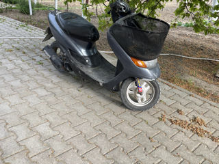 Honda Dio(Cessta)