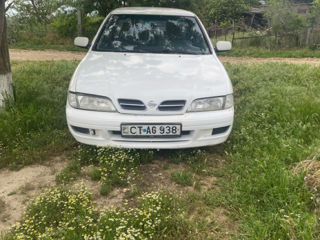 Nissan Primera foto 0