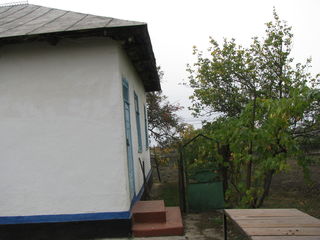 Se vinde casa in Tarigrad (Glavan) , raionul Drochia. Продается дом в Цариграде, Дрокиевский район. foto 4
