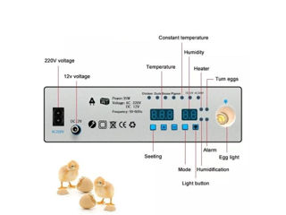 Incubator pentru oua Demetra DM-120 -credit-livrare-transfer foto 5