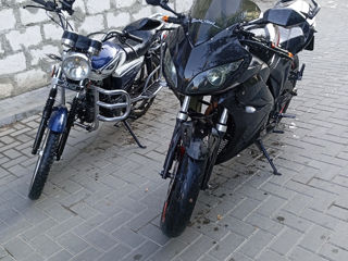 Alpha Moto Alpha 110 foto 5