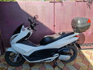 Honda Honda PCX 125 foto 6