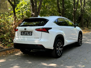 Lexus NX Series foto 7