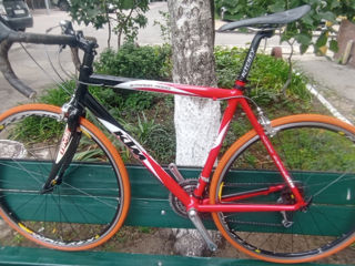 KTM Japan Ultegra foto 2