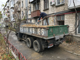 Evacuarea gunoiului, вывоз мусора trasport materiale, hamali, грузчики foto 5