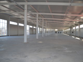 Chirie Depozit. 1 Etaj. De la 1200m2 la 12800 m2 foto 2