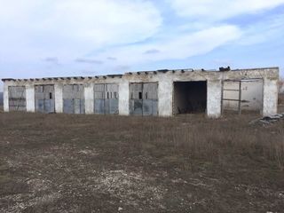 Dam in chirie fabrica de pasari din or Drochia, pe terenul careia se afla spatii pentru producere, foto 2