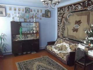 Дом из огнеупорного кирпича. foto 3