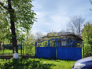 Se vinde casa batrânească în satul Şeptelici, raionul Soroca cu 30 ari de teren agricol foto 3