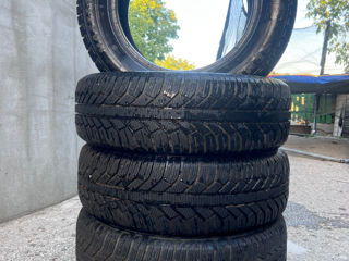 195 65 R15 Iarna