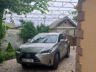 Lexus NX Series