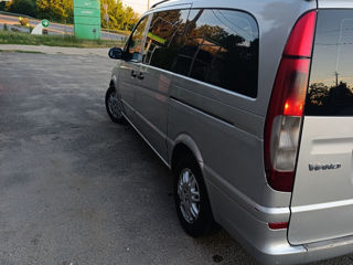 Mercedes Viano foto 3