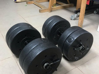 Haltele 16 kg. Гантели  16 кг.