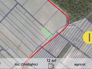 Vânzare! Terenuri agricole în regiunea Ghidighici! foto 7