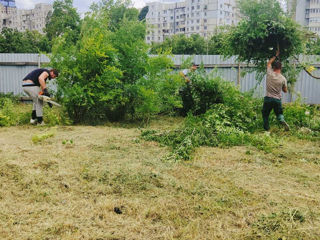 Servicii de curățare și întreținere a terenurilor foto 11