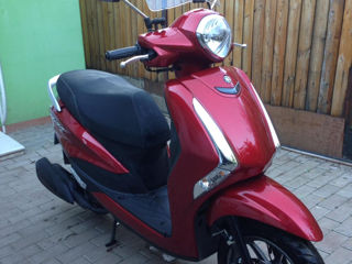 Yamaha DELIGHT foto 2