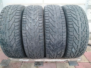 205/60r16 tigar