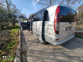 Mercedes Viano foto 3