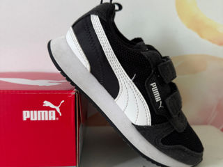 Puma 31-32m