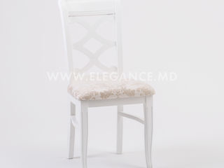 Cea mai variata gama de scaune lemn masiv. Centrul de mobila Elegance foto 9