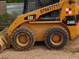 Cat 246