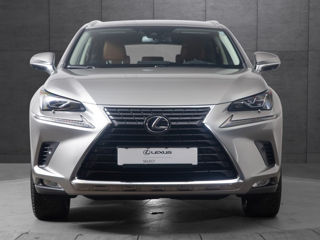 Lexus NX Series