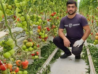 Кокосовый субстрат в матах высокого качества из Шри Ланки. foto 3