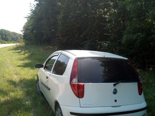 Fiat Punto foto 5