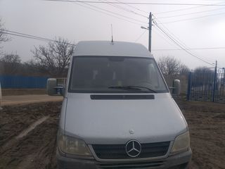 Mercedes 313 cdi foto 1